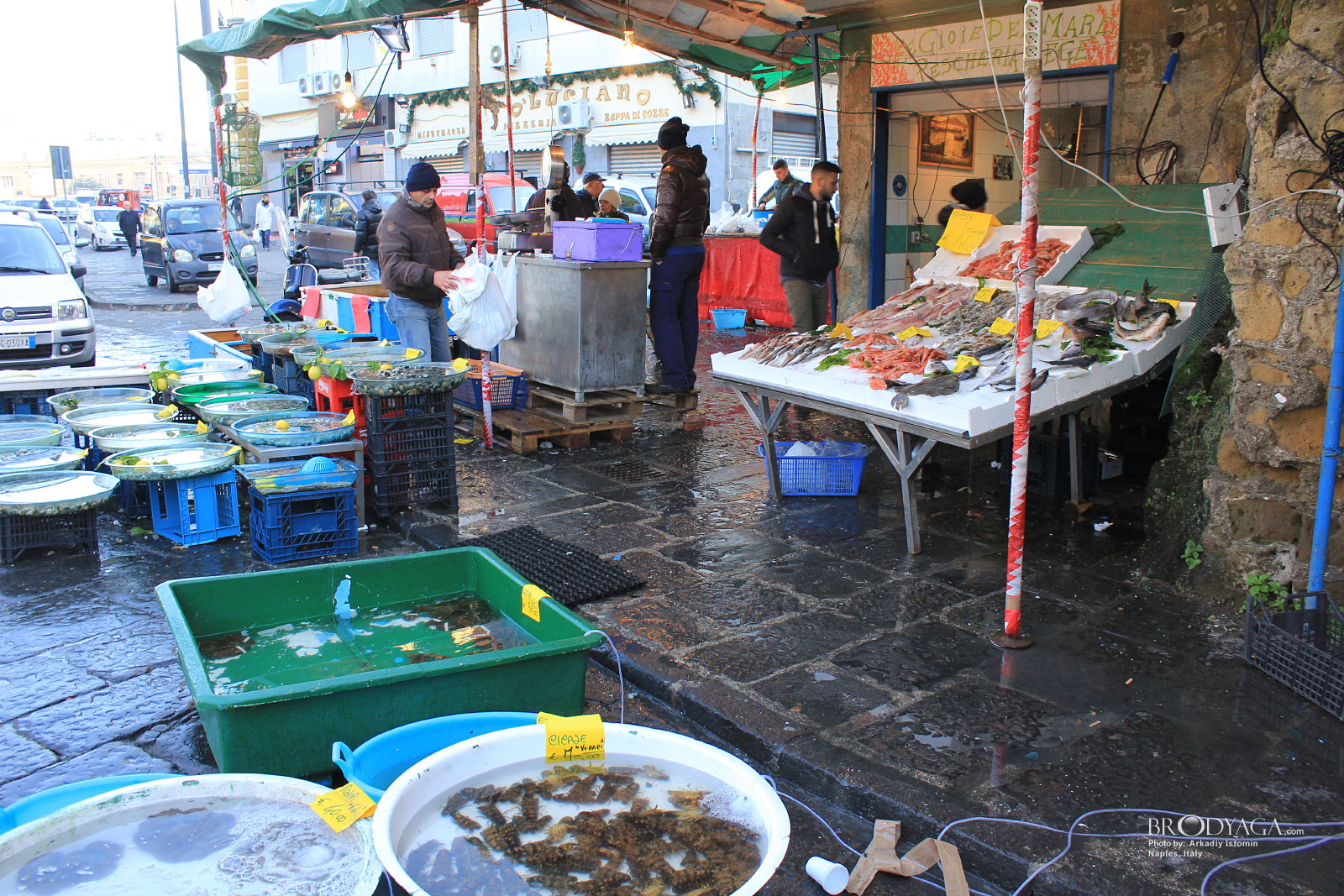 Naples